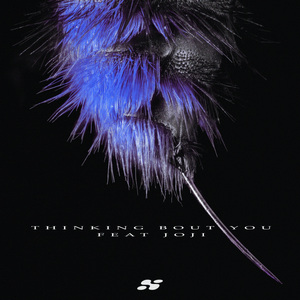 干日本美女空姐视频网站
