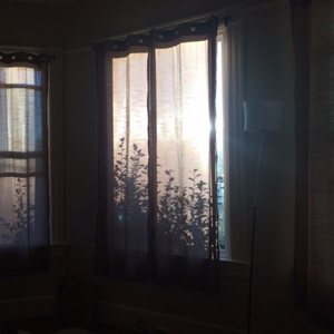 妹子用屁股吞人肚子变大视频
