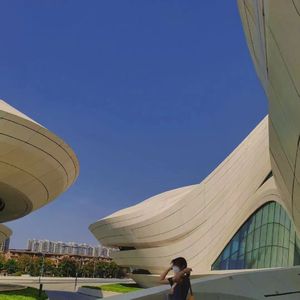 播放拔萝卜的动漫人物在线观看
