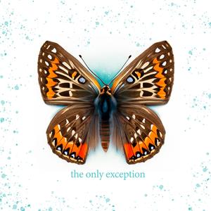 青青草视频官网
