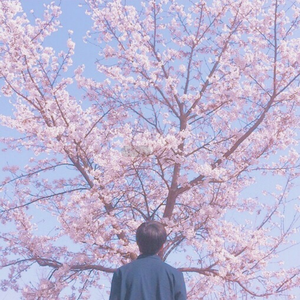 软萌兔兔酱的原视频出自哪里
