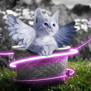 探花三对夫妇互换
