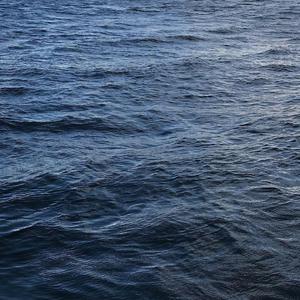 久草网站在线观看
