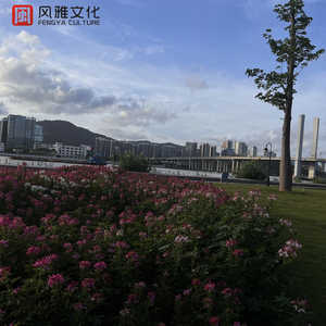 成人🔞高潮片免费视频喝酒醉
