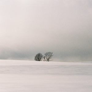 久草网站在线观看
